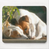 Het vangen van zzzz's muismat (Voorkant)