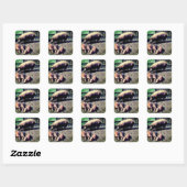 Het varken en haar drie baby's vierkante sticker (Vel)