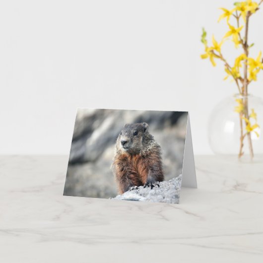 Het Varken van de grond Kaart (Gele Bloem)