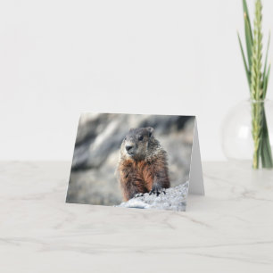 Het Varken van de grond Kaart