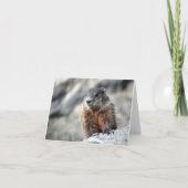 Het Varken van de grond Kaart (Voorkant)