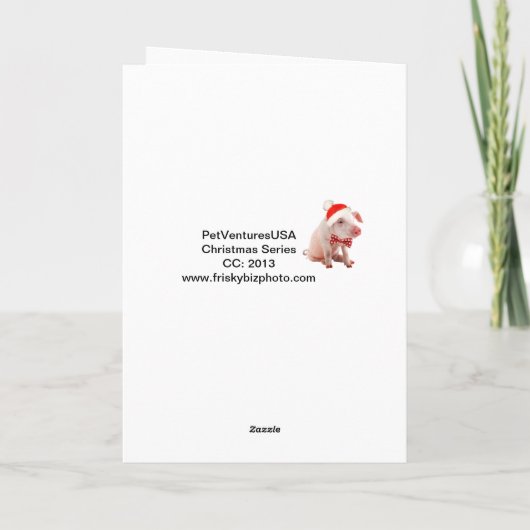 Het Varken van de pens knort Kaart (Achterkant)