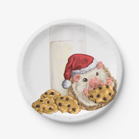 Het Varken van het Koekje van Kerstmis Papieren Bordje (Voorkant)