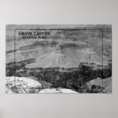 Het vastleggen van Natuur Majesteit Poster (Voorkant)