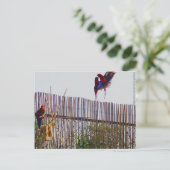 Het vechten voor het meisje briefkaart (Staand voorkant)