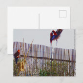 Het vechten voor het meisje briefkaart (Voorkant / Achterkant)