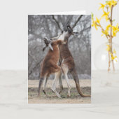 Het vechtende Wenskaart van Kangoeroes Kaart (Gele Bloem)