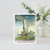 Het Velveteen-konijn - Briefkaart (Staand voorkant)