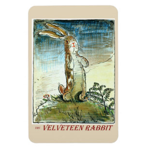 Het Velveteen-konijn - Magnet Magneet