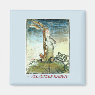 Het Velveteen Rabbit Magnet