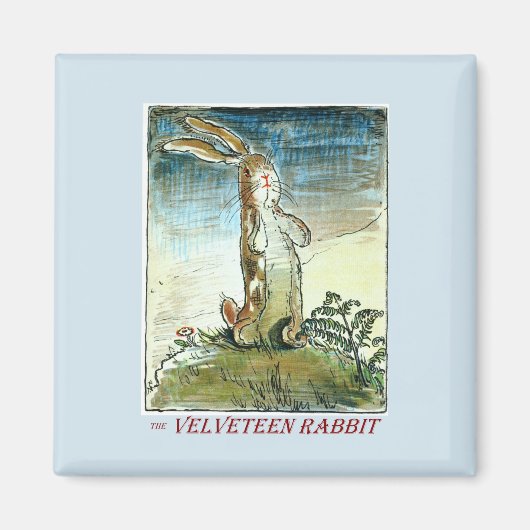 Het Velveteen Rabbit Magnet (Voorkant)