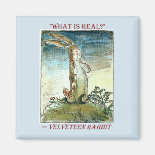 Het Velveteen Rabbit Magnet