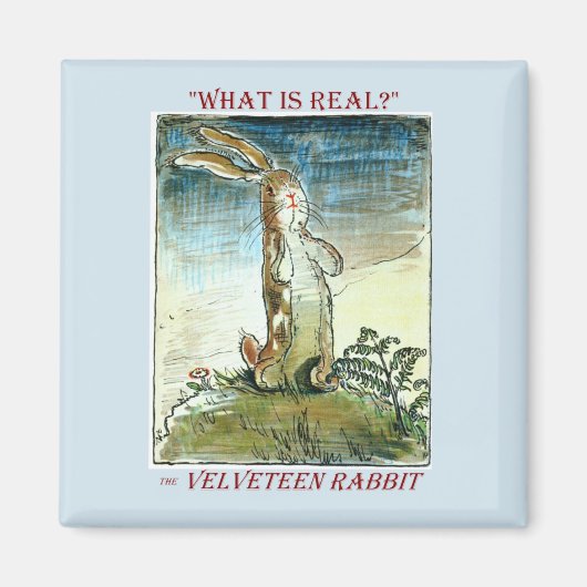 Het Velveteen Rabbit Magnet (Voorkant)