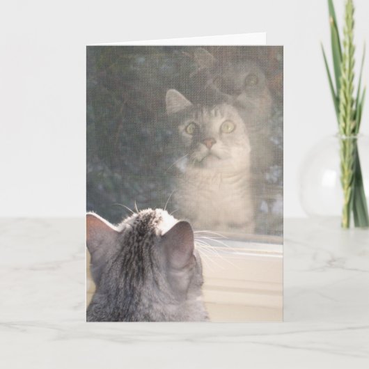 Het venster kaart (Voorkant)