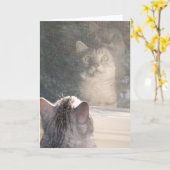 Het venster kaart (Gele Bloem)