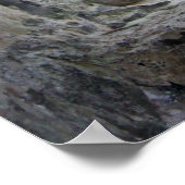 Het Venster van de steen die een Beach en Bomen on Poster (Hoek)