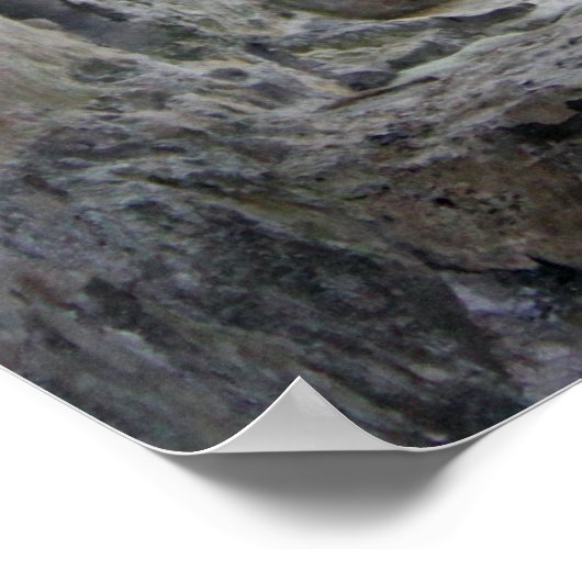 Het Venster van de steen die een Beach en Bomen on Poster (Hoek)