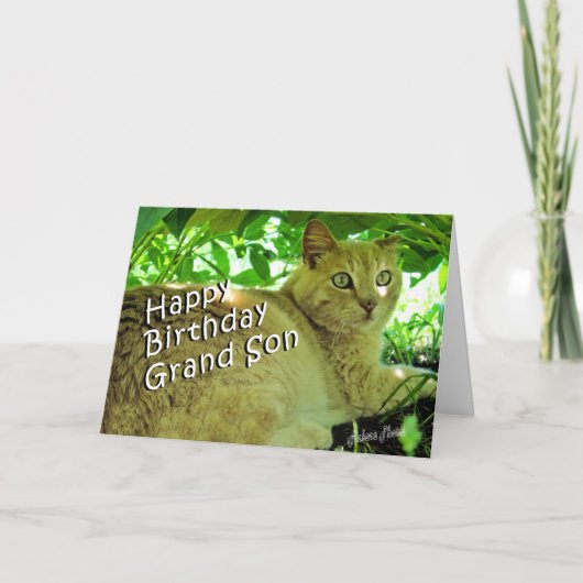 Het Verbergen van de rookwolk Kaart (Voorkant)