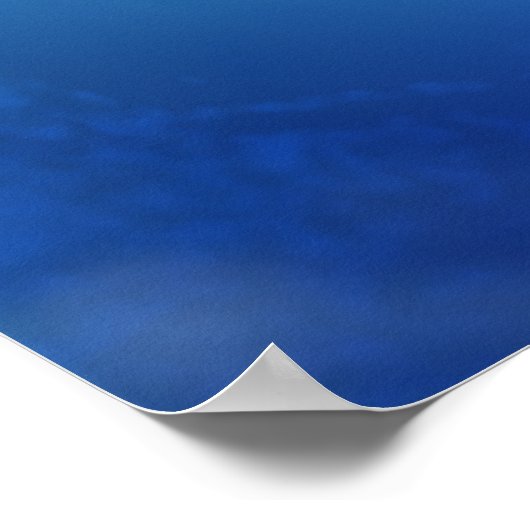 Het verbluffende Amfibic 8 Limited Edition-Poster Poster (Hoek)