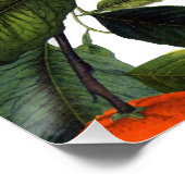 Het verboden oranje poster 20x20 (Hoek)