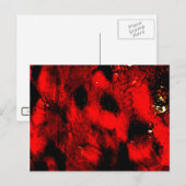 Het verbrande Briefkaart van het Man (Voorkant / Achterkant)