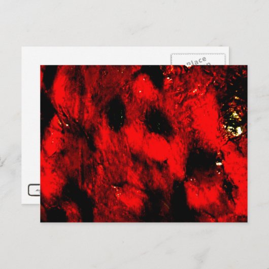 Het verbrande Briefkaart van het Man (Voorkant / Achterkant)