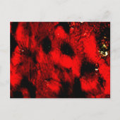 Het verbrande Briefkaart van het Man (Voorkant)