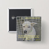 Het verdriet dat je ziet in een schuilhond vierkante button 5,1 cm (Voorkant /achterkant)