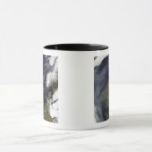 Het Verenigd Koninkrijk en de Republiek Ierland Mok (Midden)