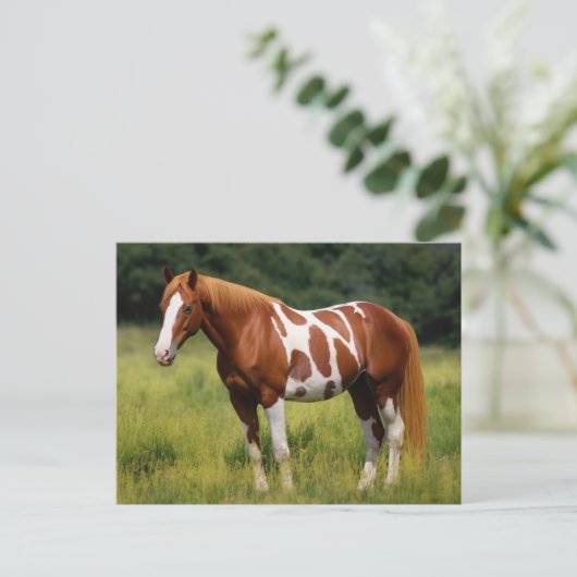 Het verfpaard briefkaart (Staand voorkant)