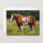 Het verfpaard briefkaart (Voorkant / Achterkant)