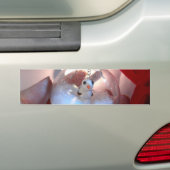 Het verfraaien van II Bumpersticker (Op auto)