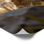 Het Vergeten Altaar van Illyrië Poster (Hoek)