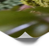 Het Vergulde Ei van Mystiek Poster (Hoek)