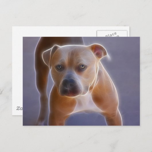 Het verhaal briefkaart (Voorkant / Achterkant)