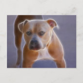 Het verhaal briefkaart (Voorkant)