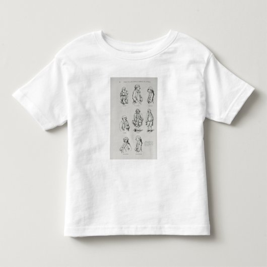 Het verhaal en de kritische geschiedenis van Ameri Kinder Shirts (Voorkant)