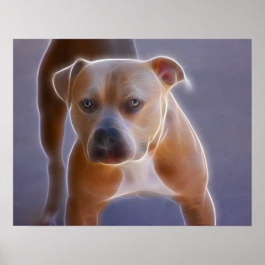 Het verhaal poster (Voorkant)