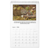 Het verhaal van George de muis in een stapel huis Kalender (Mar 2026)