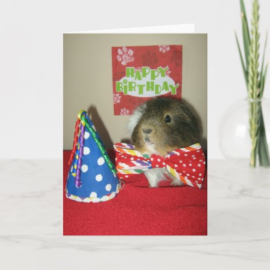 Het verjaardagsfeestje van Baci Kaart (Voorkant)