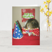 Het verjaardagsfeestje van Baci Kaart (Gele Bloem)