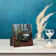 Het verlaten speelplaatje van Truck