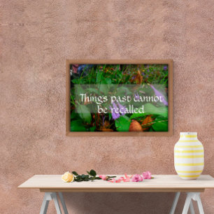 Het verleden kan niet worden herinnerd aan wijshei poster