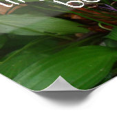 Het verleden kan niet worden herinnerd aan wijshei poster (Hoek)