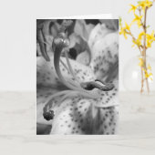 Het verleiden Lelie Kaart (Gele Bloem)