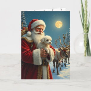 Het verlies van een huisdier met Kerstmis