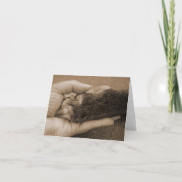 Het Verlies van het huisdier - Aanraking van een Kaart