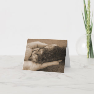 Het Verlies van het huisdier - Aanraking van een Kaart