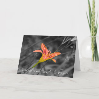 Het verliezen van Uw Kaart van de Sympathie van de