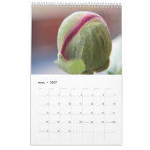 Het vermogen van de ventilator kalender (Mar 2027)
